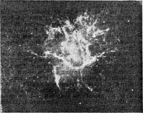 Рис. 44. Фотография Крабовидвой туманности
