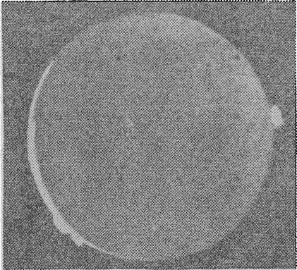 Рис. 10. Извержение вулкана на спутнике Юпитера Ио. (Снимок получен космическим аппаратом «Вояджер-1».)
