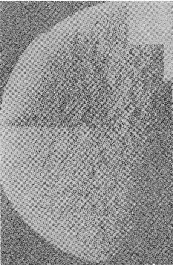 Рис. 7. Спутник Сатурна Рея. (Снимок получен космическим аппаратом «Вояджер-1».)