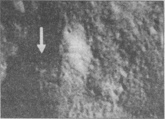 Рис. 26. Руиноподобная структура на вершине лунного холма (снимок станции «Клементина» LHD6749R.3I8)