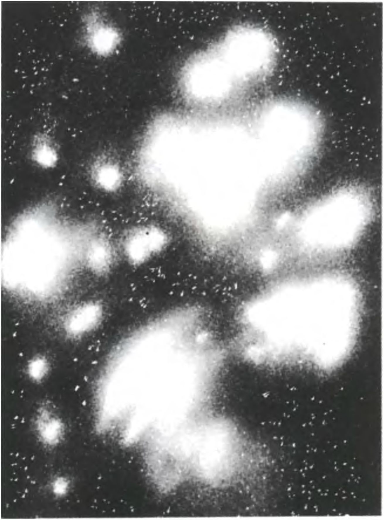 Рассеянное скопление — Плеяды, состоящее из молодых звезд