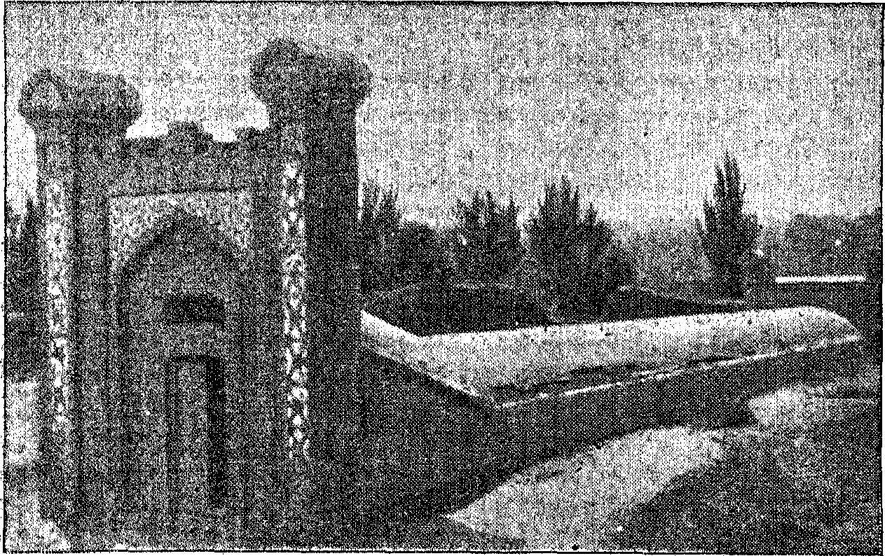 Рис. 2. Футляр над квадрантом обсерватории Улугбека