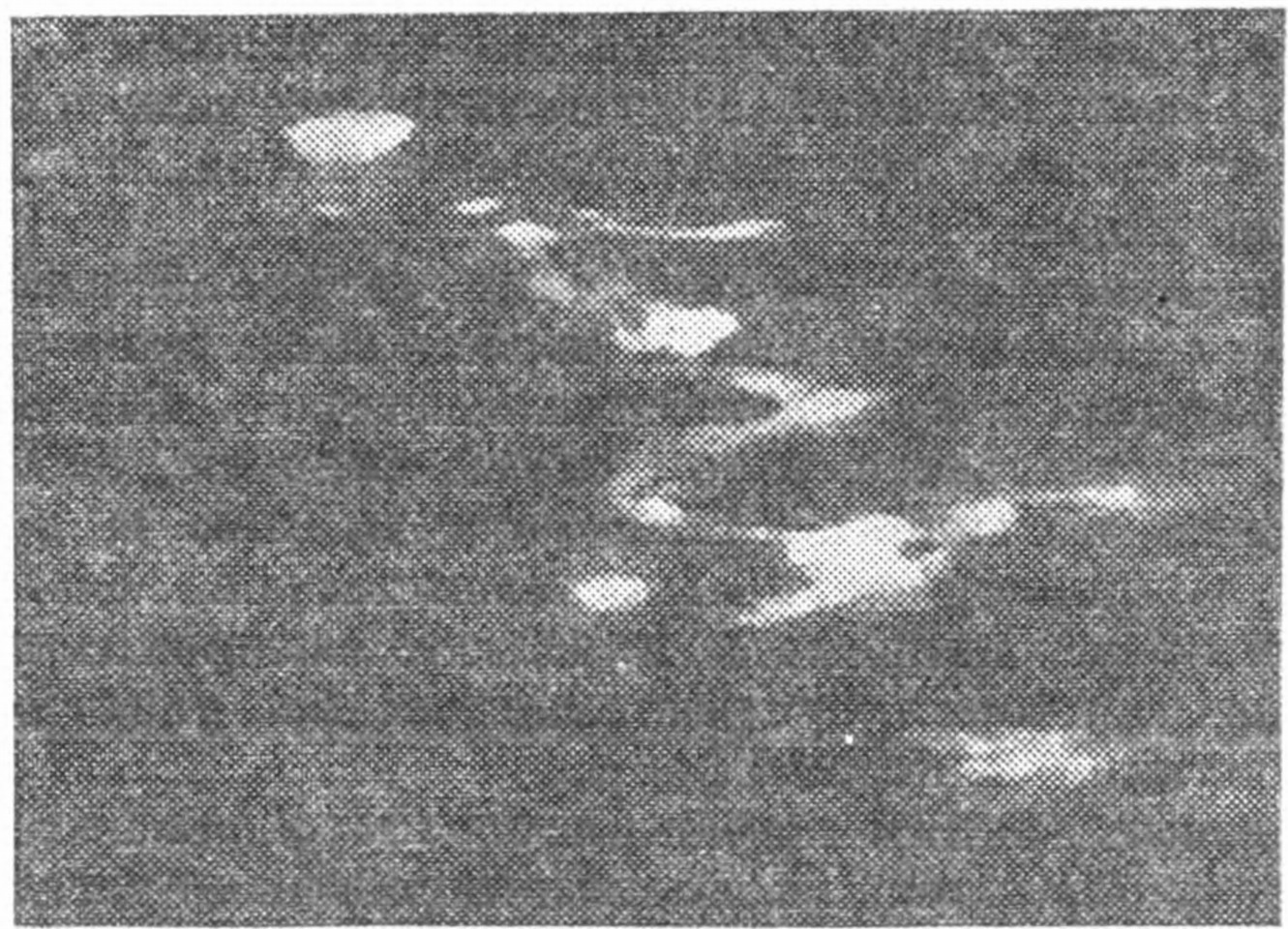 Рис. 100. Две фотографии яркого метеорного следа, полученные с перерывом в несколько минут Д. Дебабовым на Чукотке (1941 г.)
