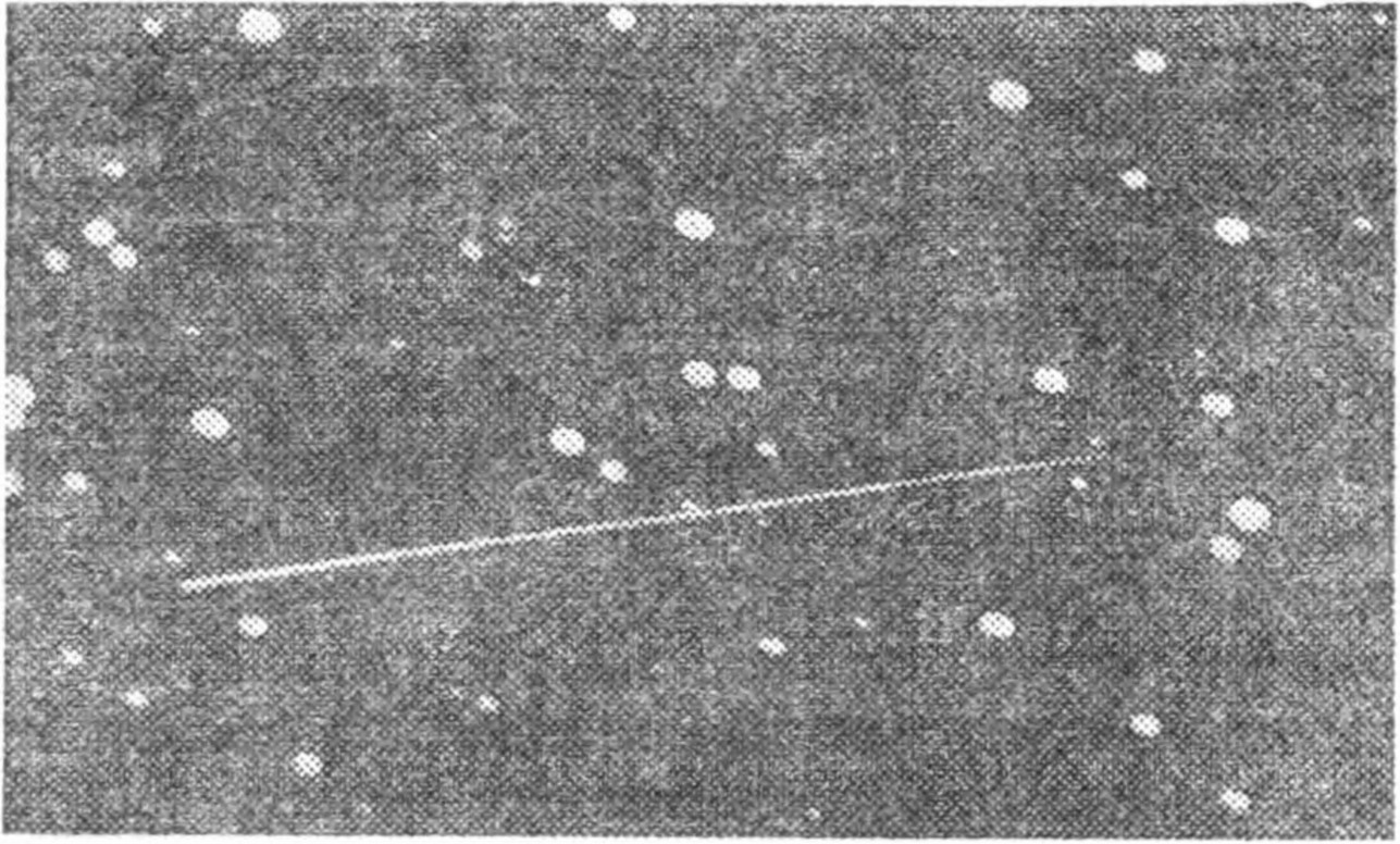 Рис. 71. Фотография, на которой был открыт астероид Гермес. Оставленный им след походит на фотографию метеора — так быстро двигался Гермес по небу