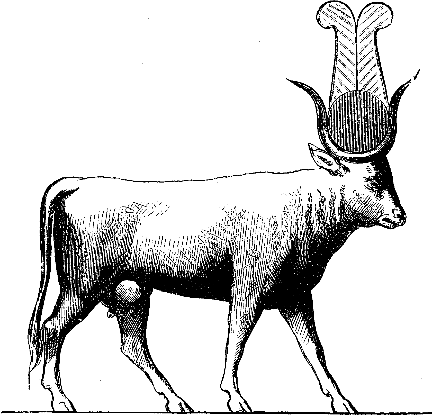 Корова Исиды