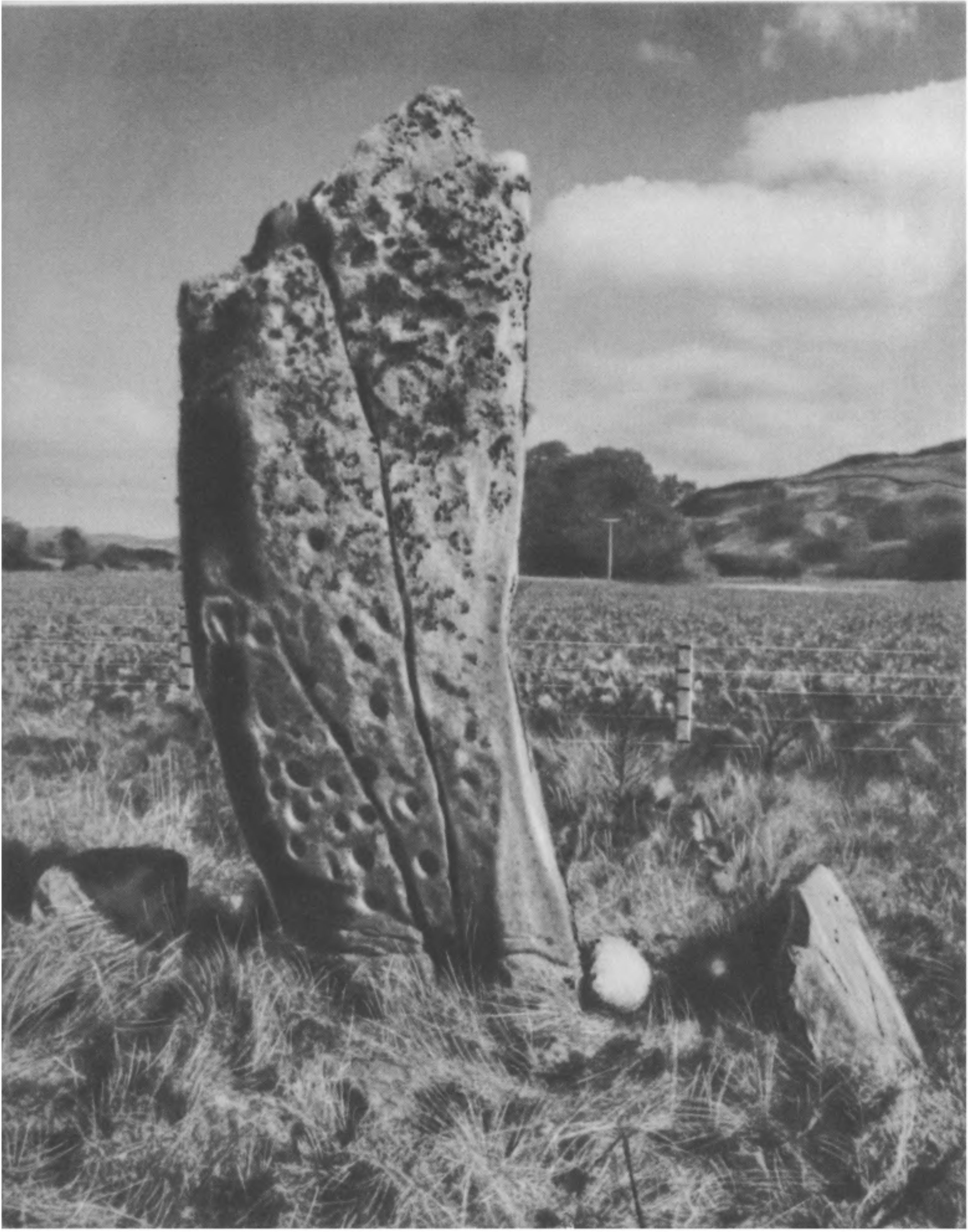 XVIII. Углубления и кольца на центральном камне в Темпл-Вуде