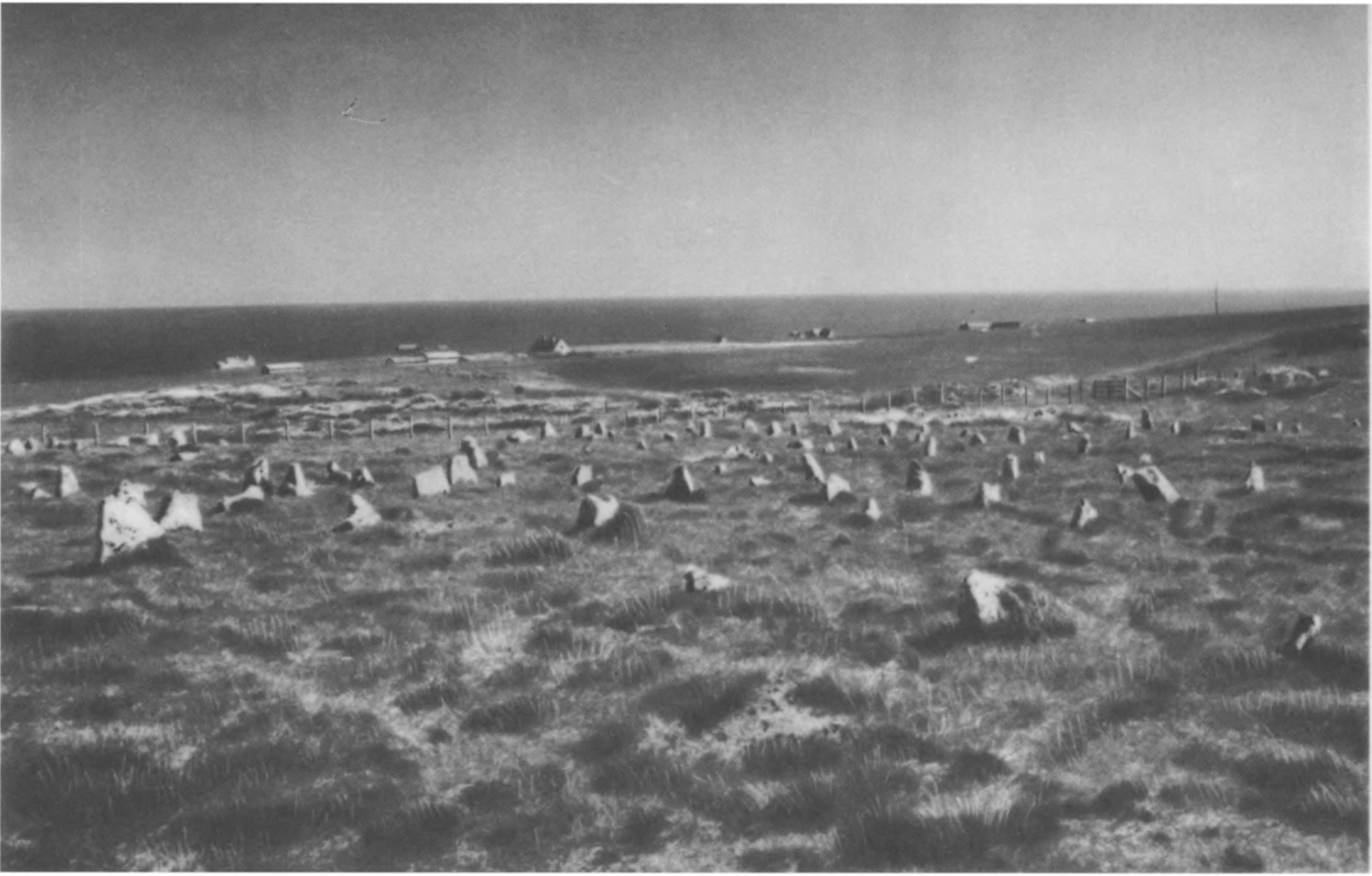 XXII. Ряды камней в Мид-Клите, вид с вершины ближней горы примерно на юго-восток