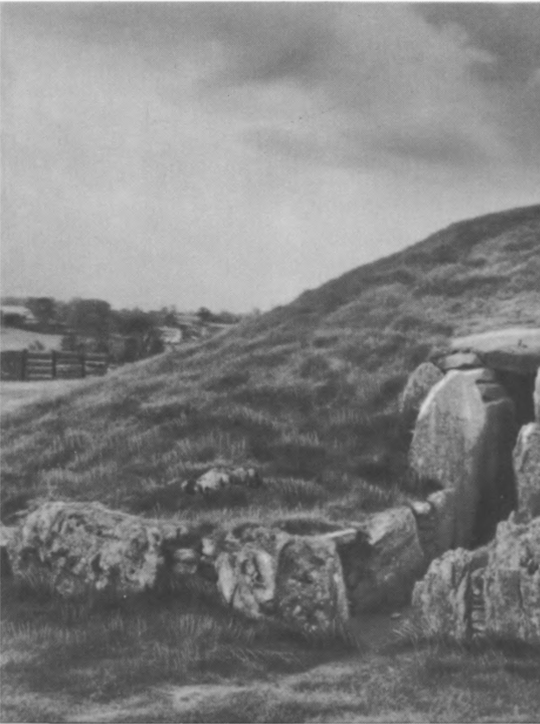 XI. Коридорная могила в Брин-Селли-Дду.