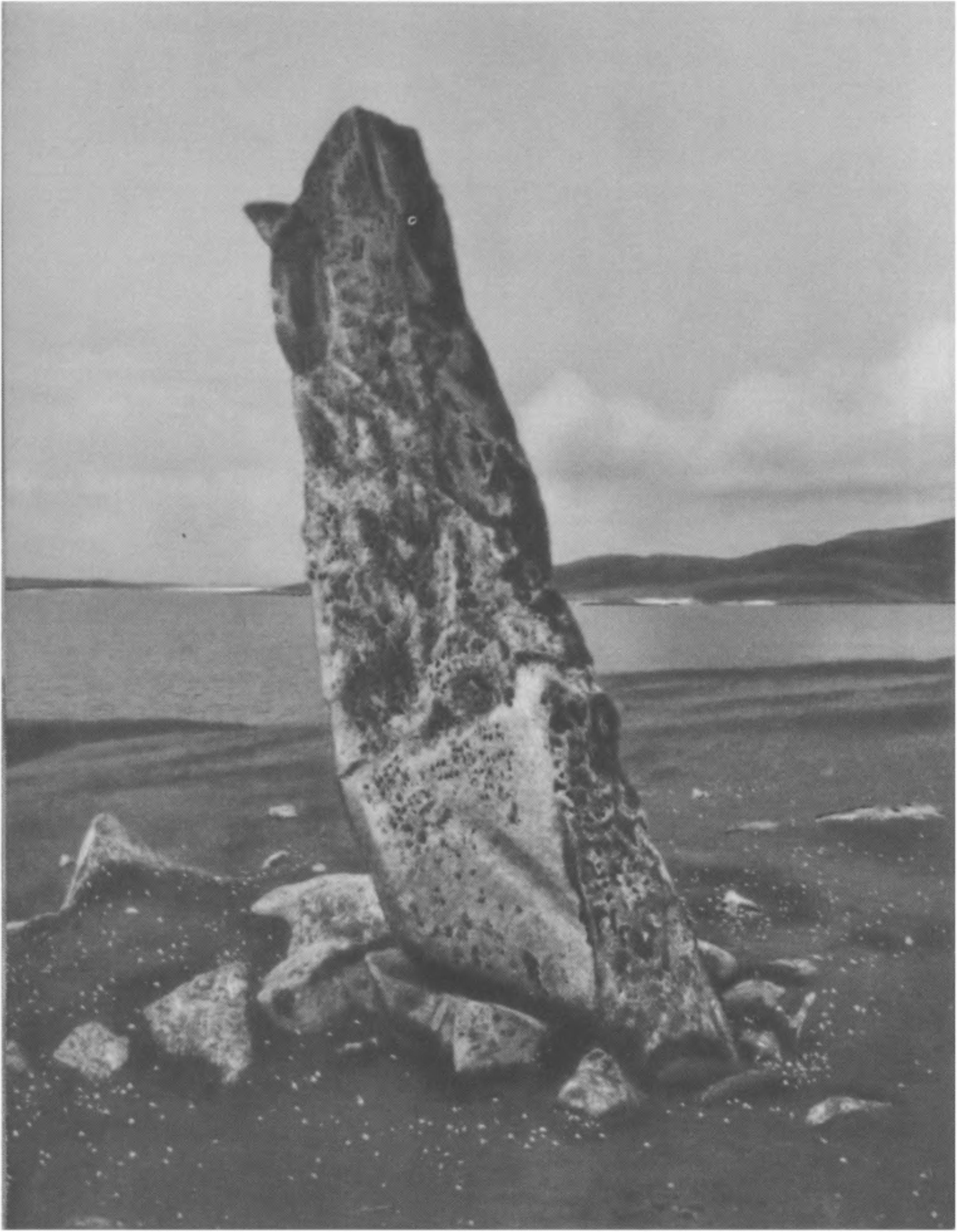 XII. Стоячий камень Клах-Мик-Леойд. Этот камень вместе с островом Боререй образует створ, который указывает точку захода Солнца во время равноденствий