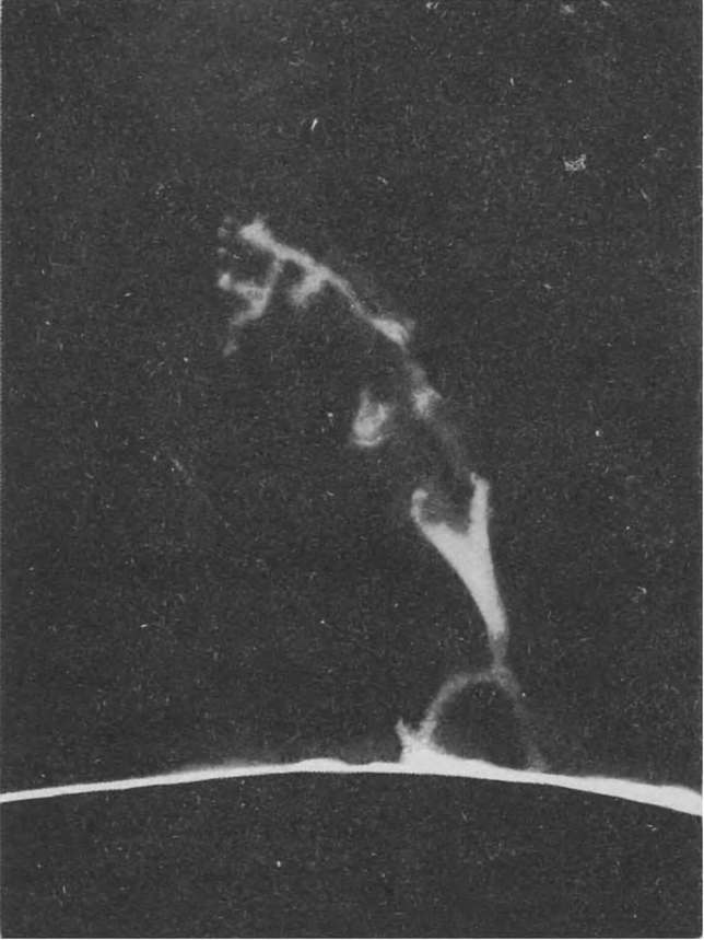 Протуберанец — фонтан раскаленных газов, выбрасываемых над поверхностью Солнца
