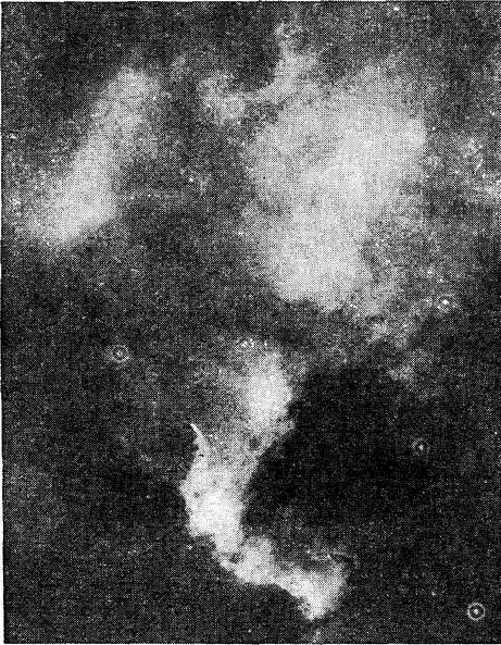 Рис. 45. Фотография туманности «Северная Америка»