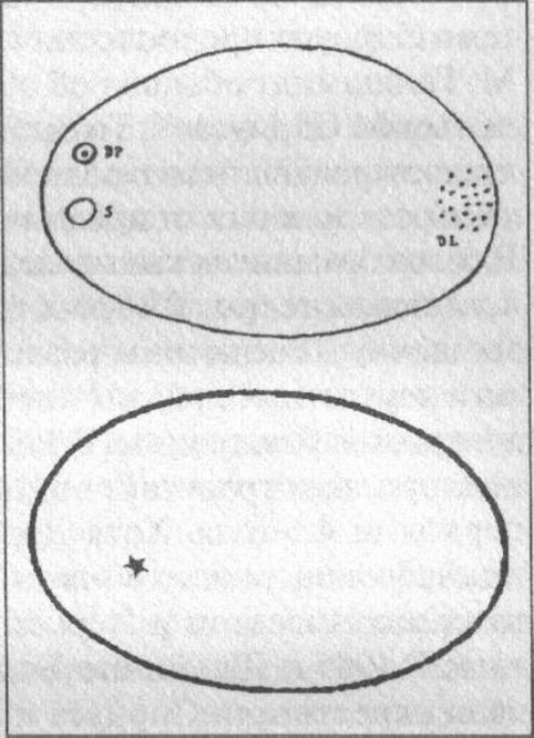 Рис. 43. Догонский рисунок системы Сириуса (вверху) и видимая траектория спутника звезды, согласно астрономическим наблюдениям (внизу)