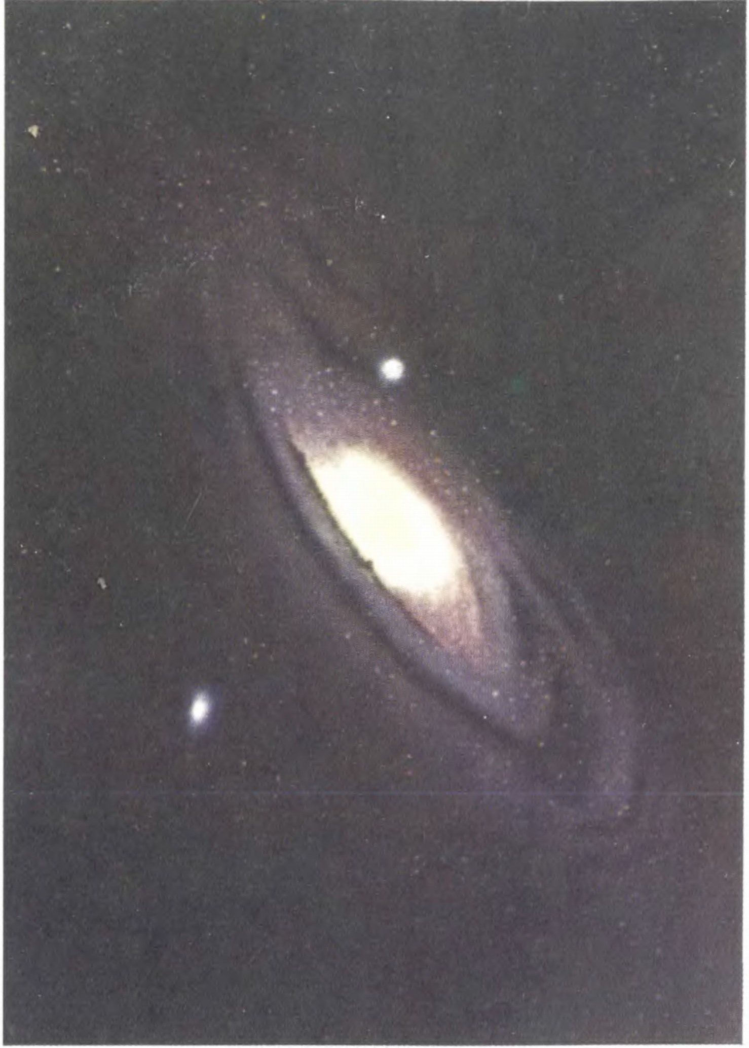 Цветная фотография галактики в созвездии Андромеды, полученная Миллером на 5-метровом телескопе Паломарской обсерватории (США). Хорошо заметна разница между голубоватым цветом спиральных ветвей и красновато-желтым цветом центральной части