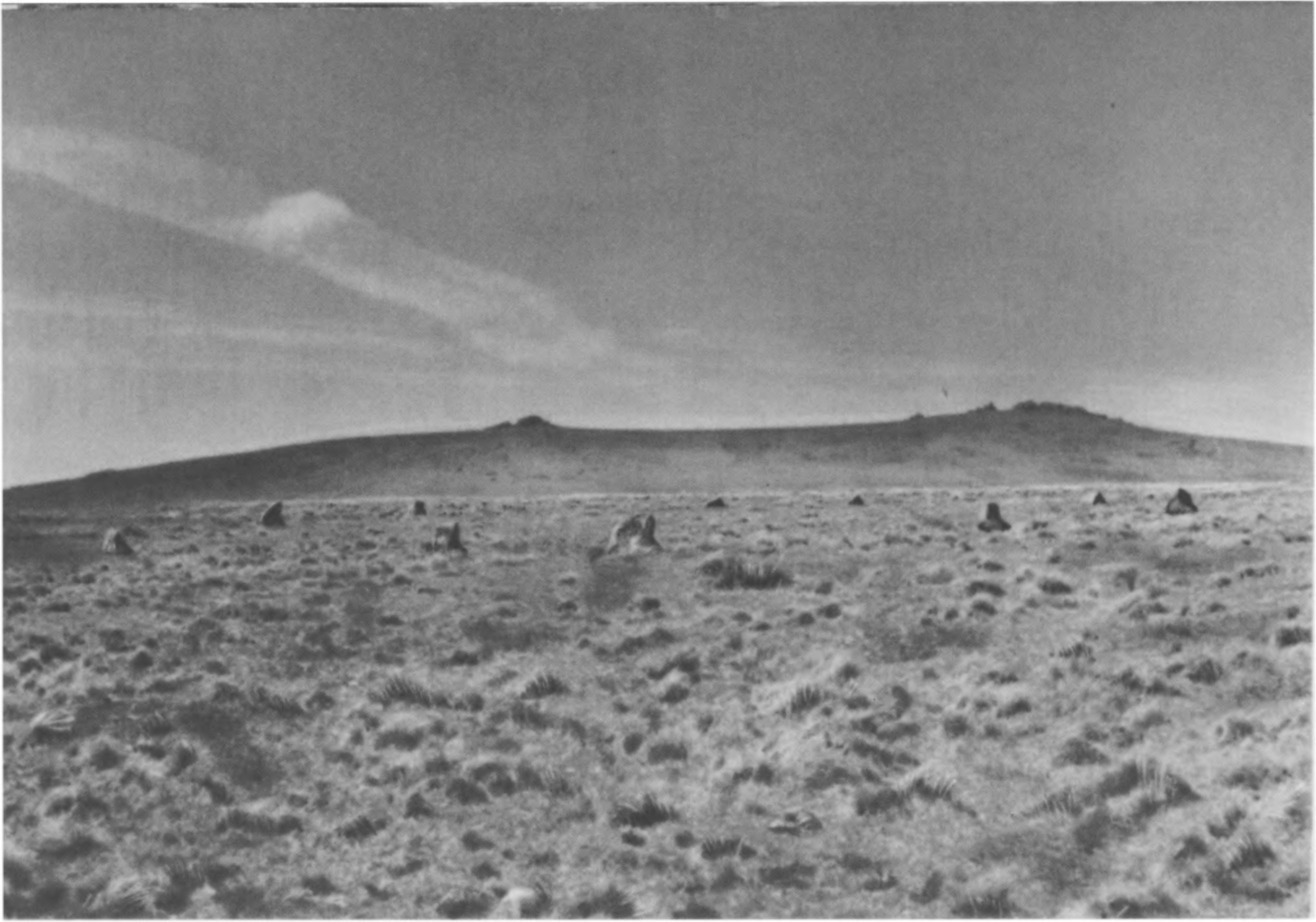 XX. Кольцо камней в Мерривейле, приплюснутый круг типа А, на заднем плане — северо-западный горизонт (ср. рис. 7.12 и 7.13)